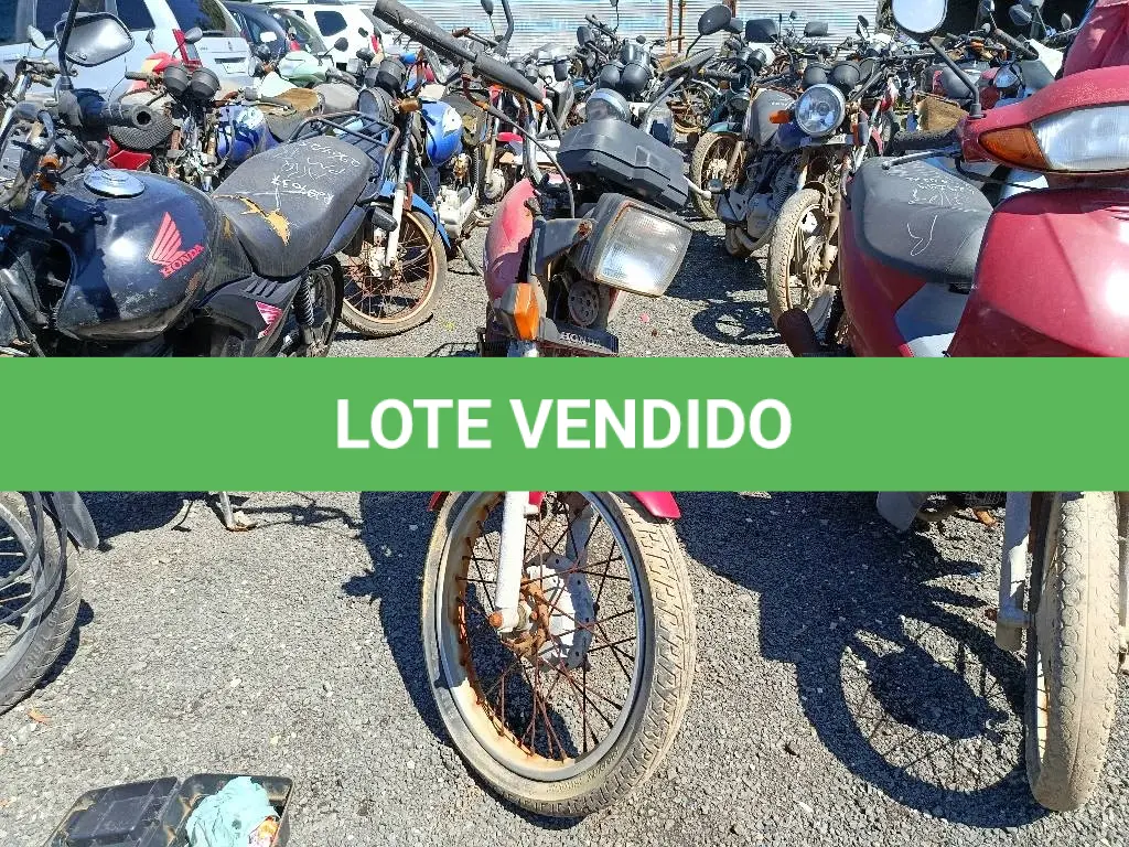 LOTE 0493