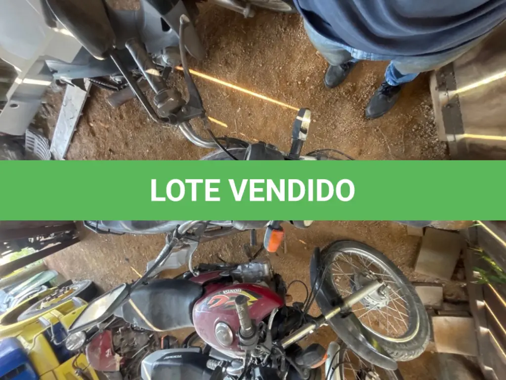 LOTE 0401