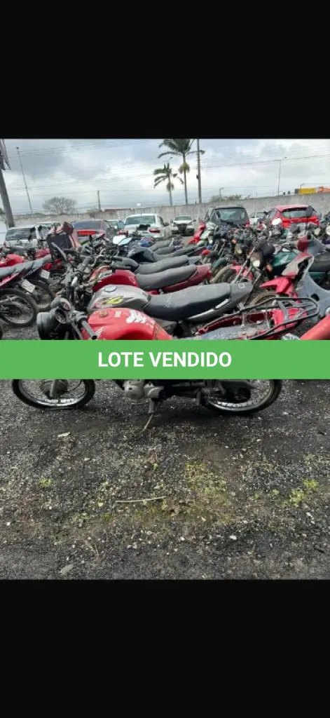 LOTE 0495
