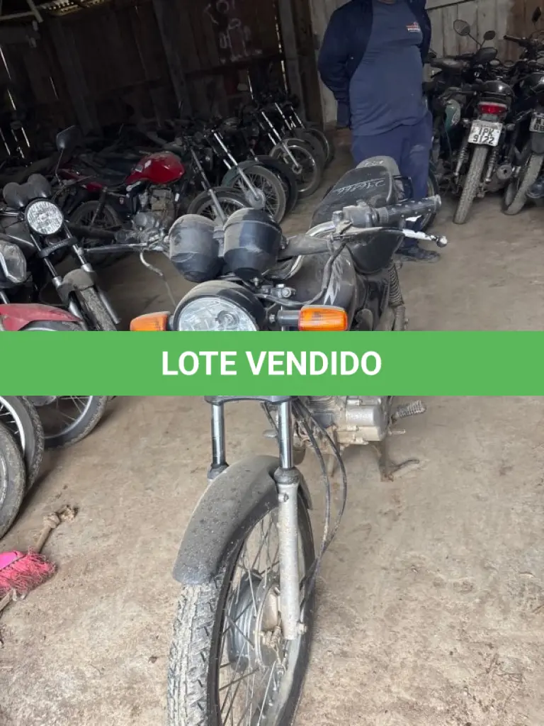LOTE 0300