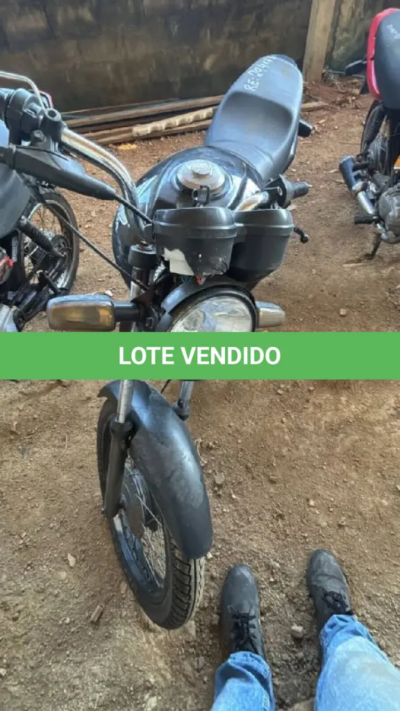 LOTE 0453
