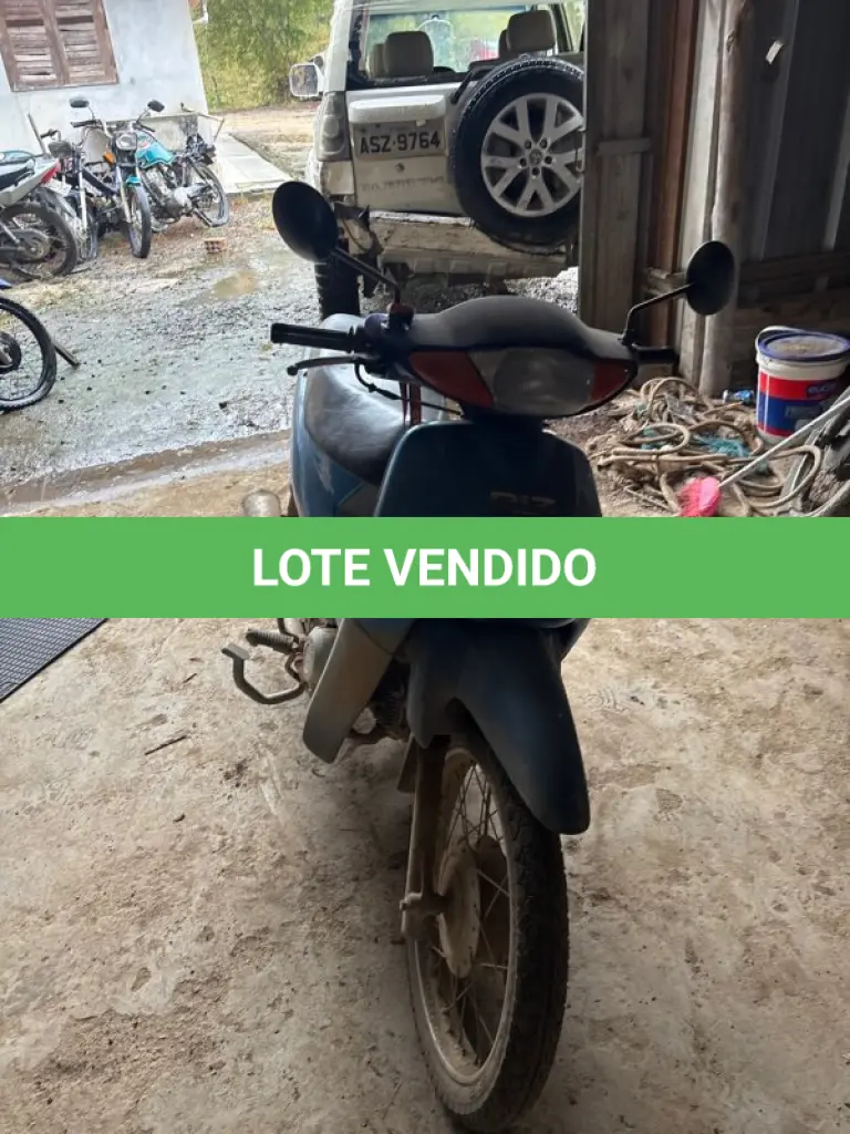 LOTE 0309