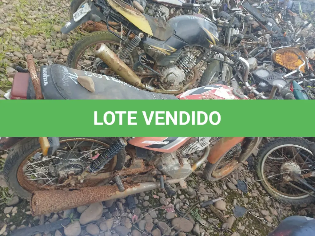 LOTE 0787