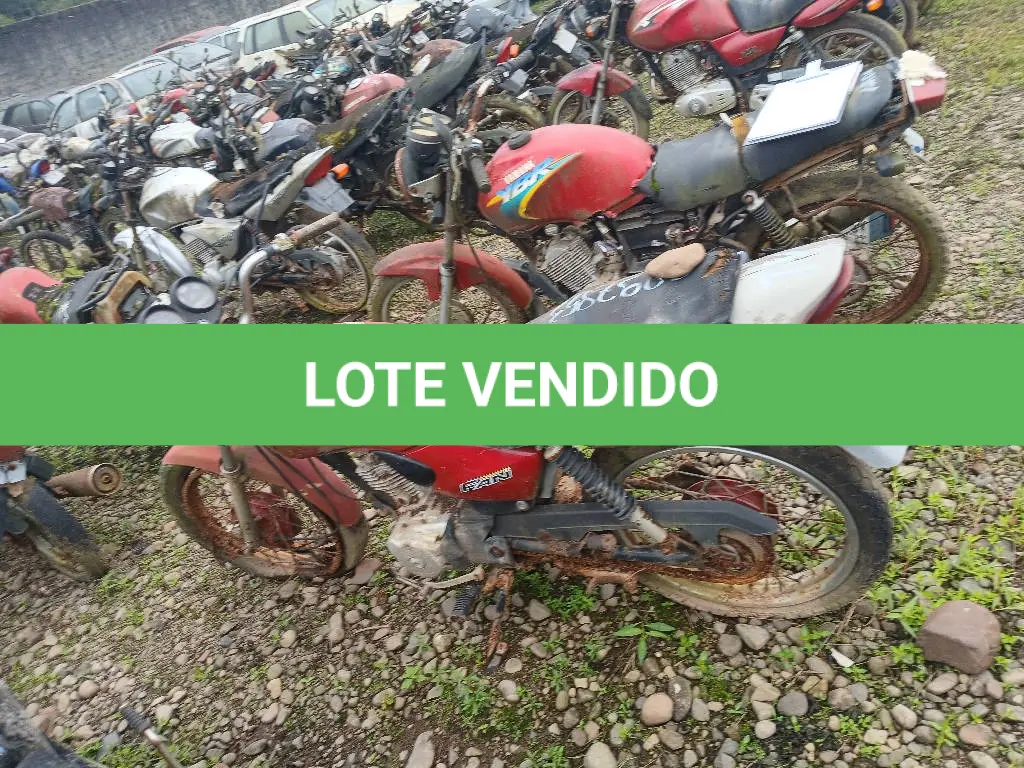 LOTE 0785