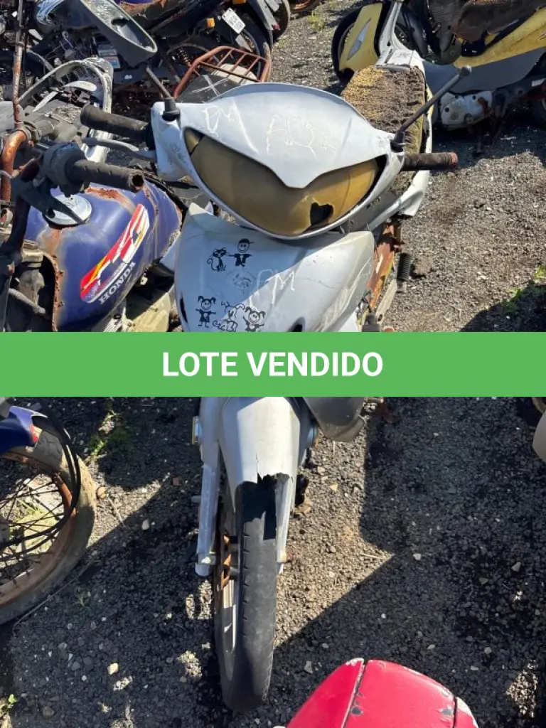 LOTE 0765
