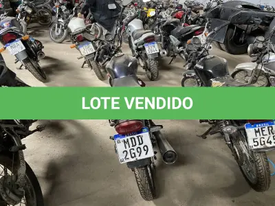 LOTE 0295 - 0295