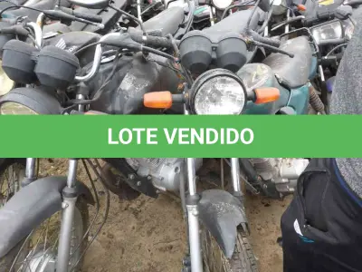 LOTE 0257 - 0257
