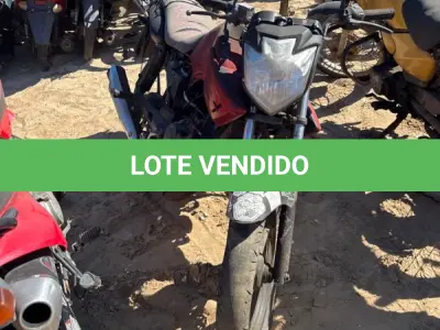LOTE 0265 - 0265