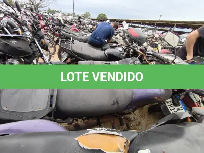 LOTE 0250 - 0250