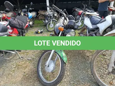 LOTE 0338 - 0338
