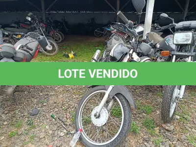 LOTE 0447 - 0447