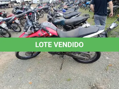 LOTE 0343 - 0343
