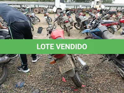 LOTE 0442 - 0442