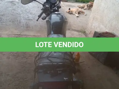 LOTE 0310 - 0310