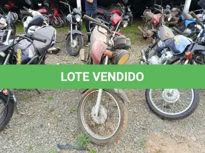 LOTE 0359 - 0359