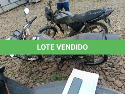 LOTE 0419 - 0419