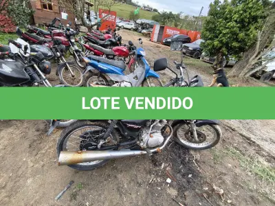 LOTE 0429 - 0429