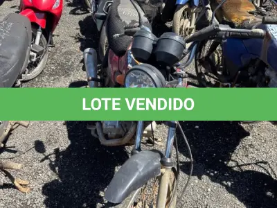 LOTE 0490 - 0490