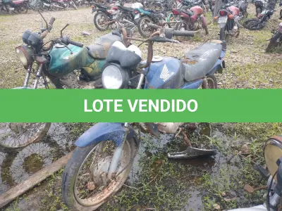 LOTE 0728 - 0728