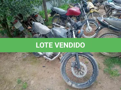LOTE 0739 - 0739