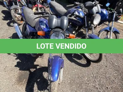 LOTE 0489 - 0489