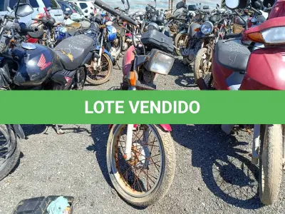 LOTE 0493 - 0493