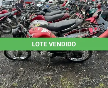 LOTE 0495 - 0495