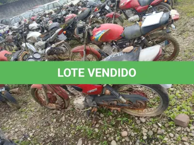 LOTE 0785 - 0785
