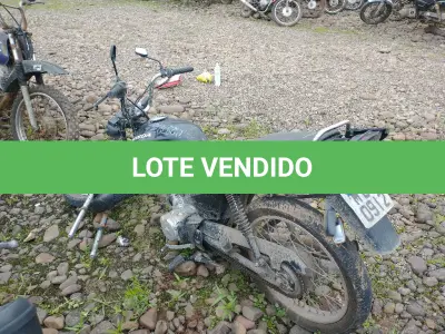 LOTE 0782 - 0782
