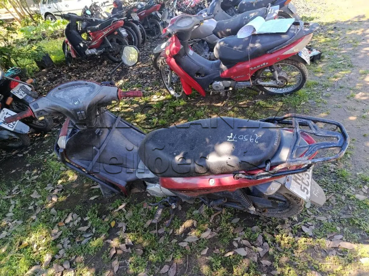 LOTE 0689