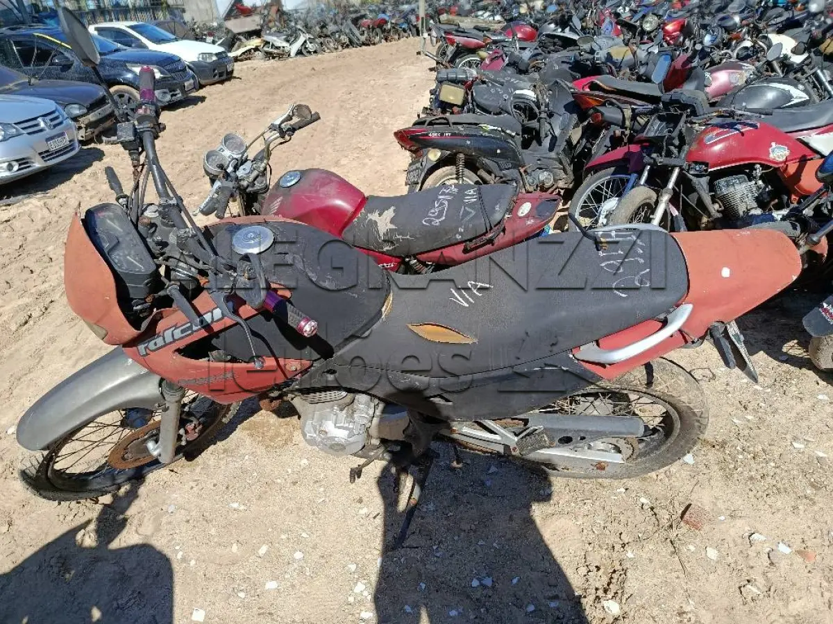 LOTE 0263