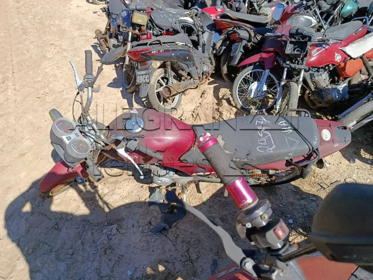 LOTE 0281