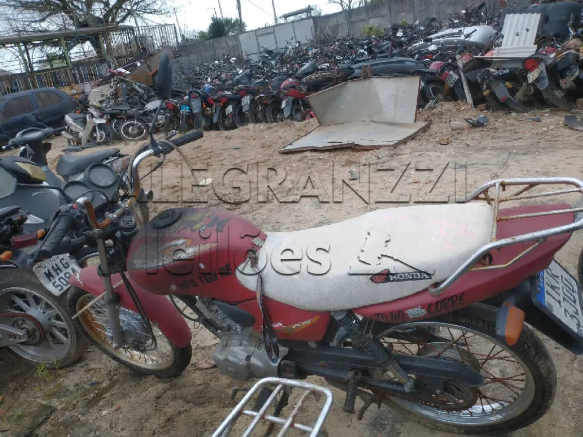 LOTE 0267