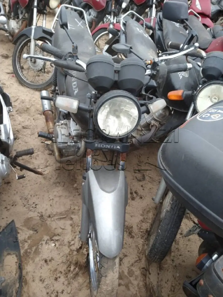 LOTE 0276