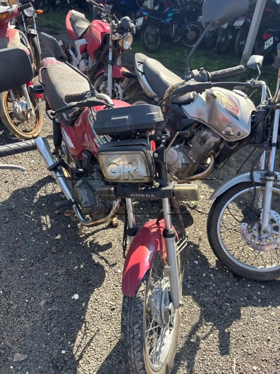 LOTE 0499