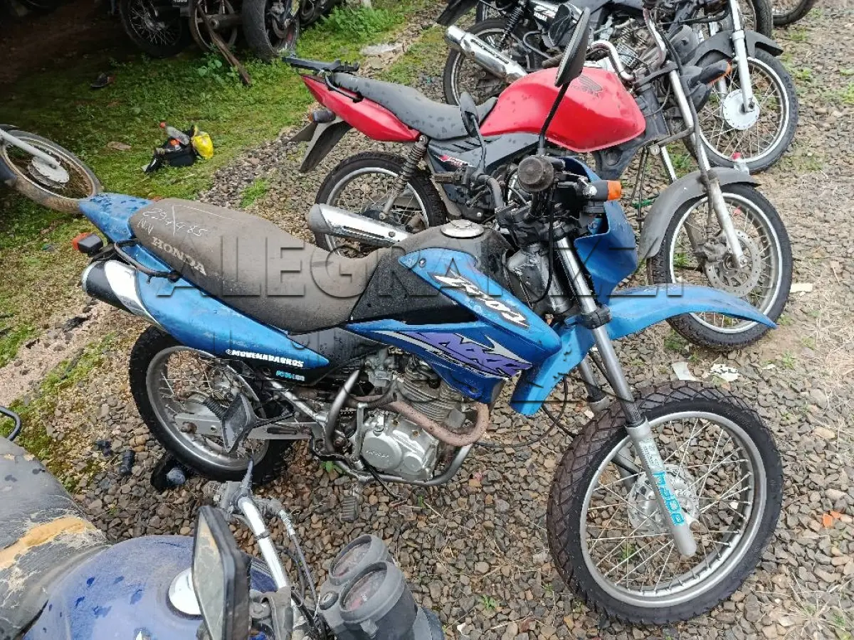 LOTE 0441