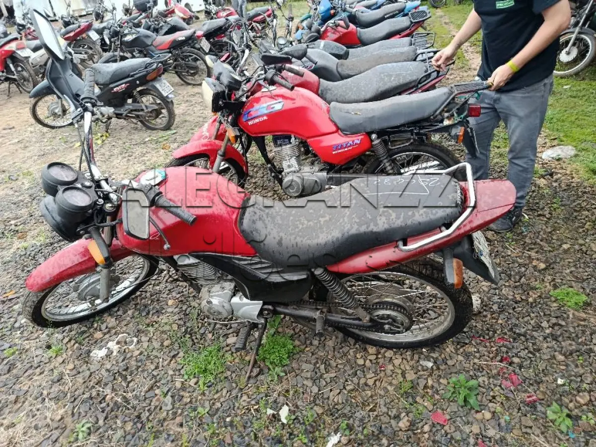 LOTE 0444