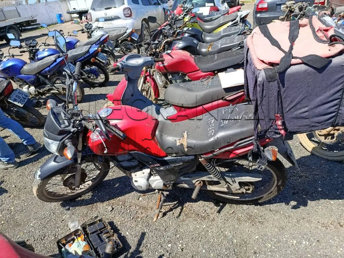 LOTE 0494