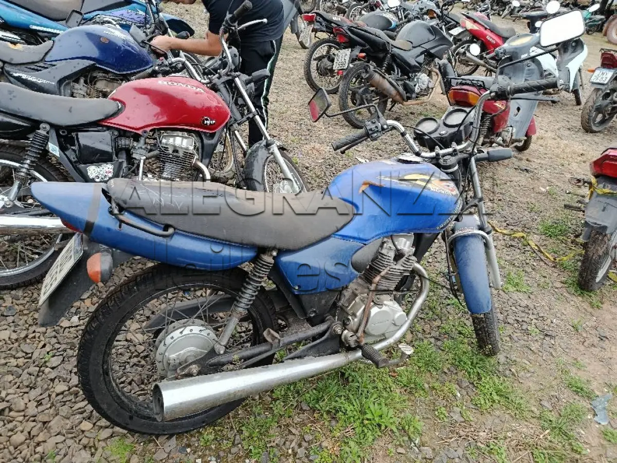LOTE 0445