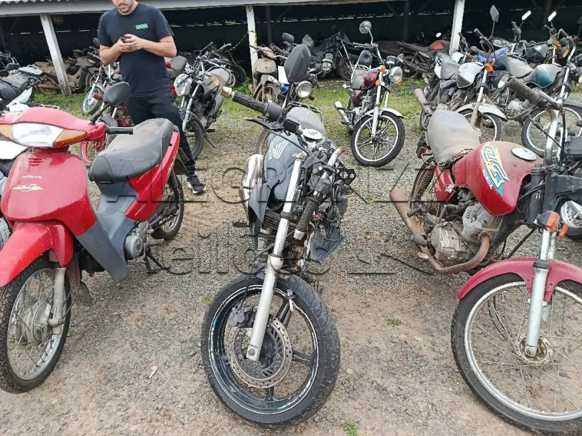 LOTE 0317