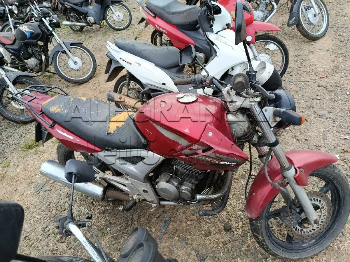 LOTE 0339