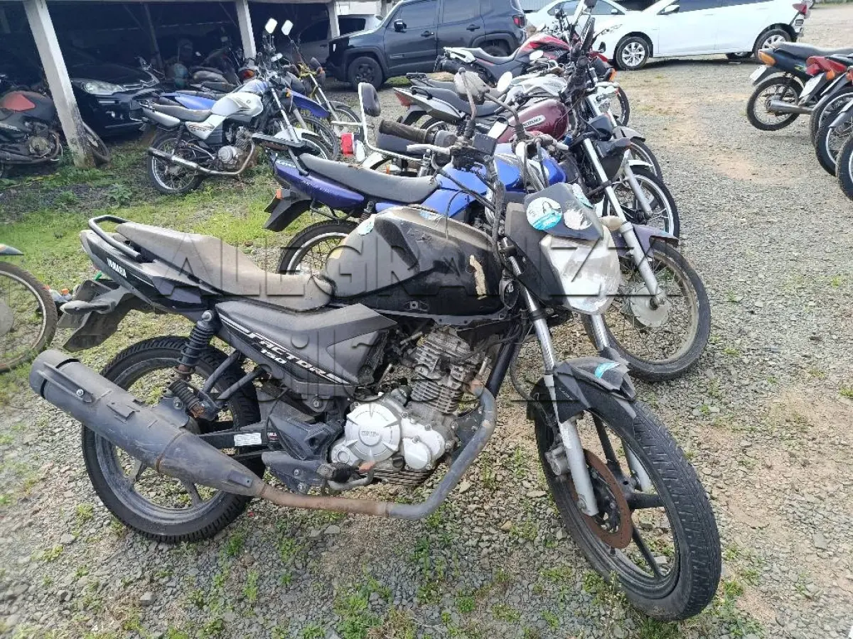 LOTE 0325