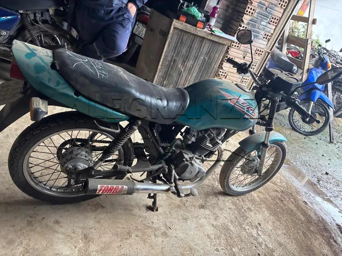 LOTE 0303