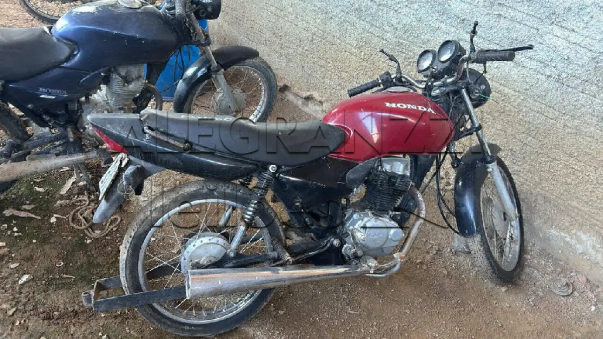 LOTE 0452