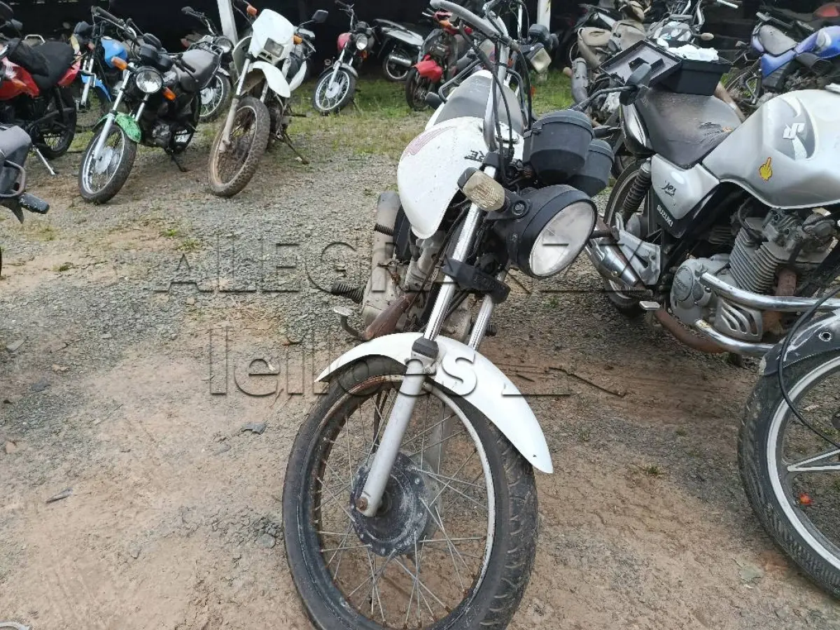 LOTE 0333