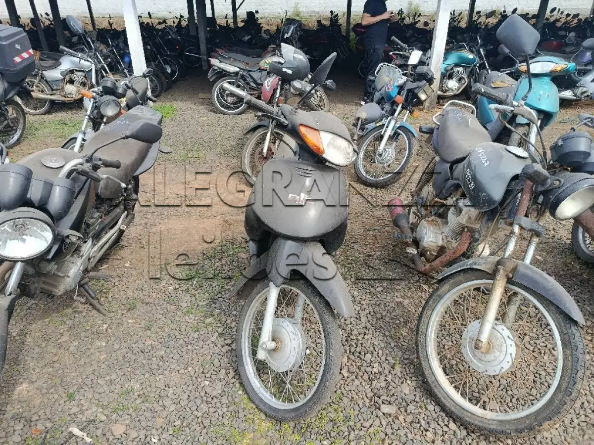 LOTE 0705