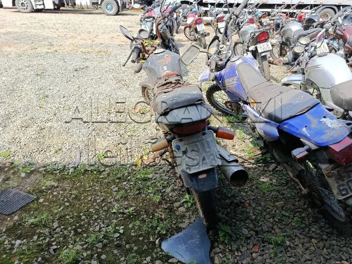 LOTE 0709