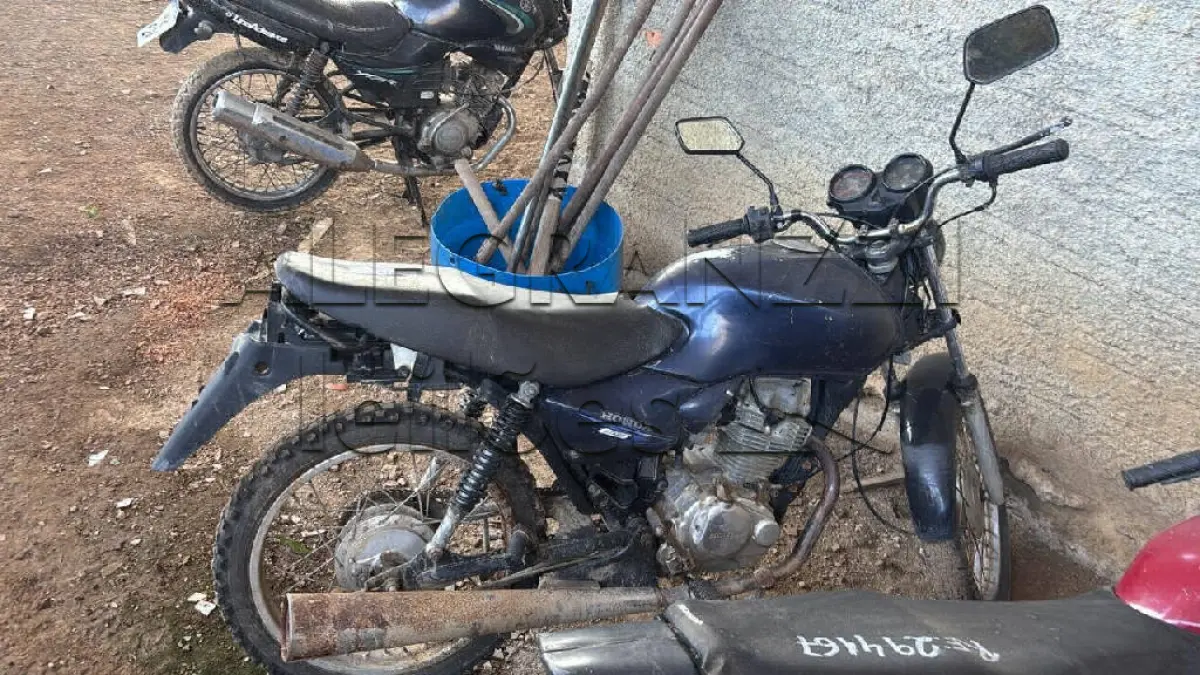 LOTE 0454