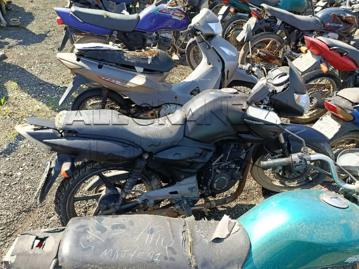 LOTE 0496