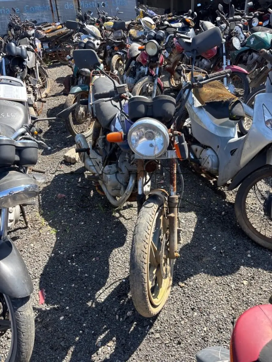 LOTE 0498